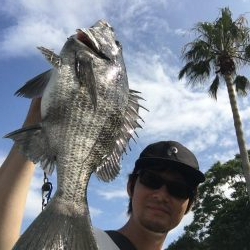 チヌ ルアーゲーム